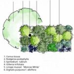 Fase 3 – Beplantingsplan